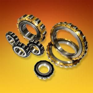2015hot Sale in China Cylindrical Roller Bearings304
