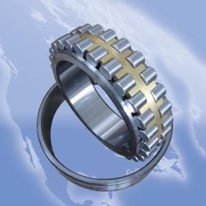 Koyo, NACHI, NSK Nu10/500m1 Bearings Cylindrical Roller Bearings