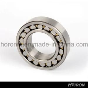 Spherical Roller Bearing (29484 EM)