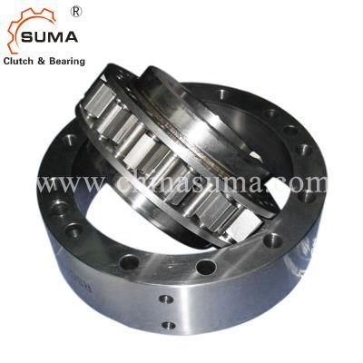 High Torque Backstop Clutch Rsci220II-M with Sprag Type From China
