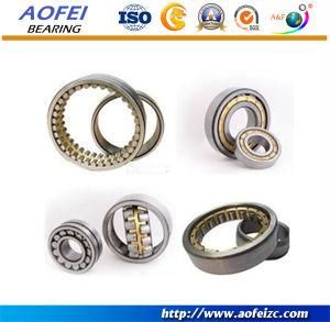 China Bearing Manufacturer high quality double row cylindrical roller bearing NN3020K/W33