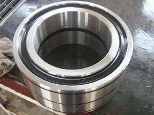 Four-Row Cylindrical Roller Bearing (313811)