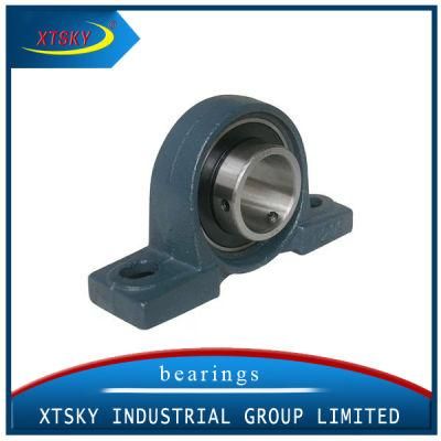 Wearable Pillow Block Bearing (UCP 209)