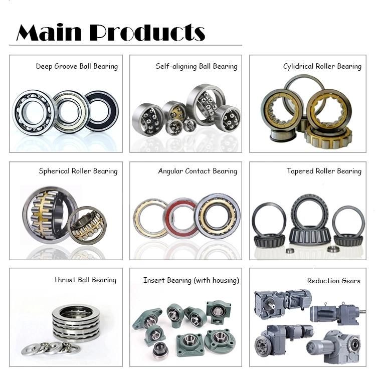 High Precision Thrust Ball Bearings for Bicyclesand