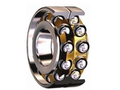 Full Complement Cylindrical Roller Bearings (319434DA-2LS 319436DA-2LS 319438DA-2LS 319440 DA-2LS)