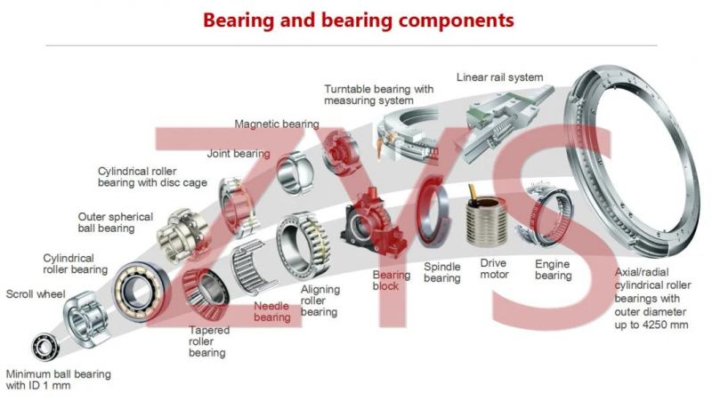 Zys Various Kinds of Ball Bearings Competing with SKF, SKF, NTN, NSK, , Koyo, NACHI, Timken Quality