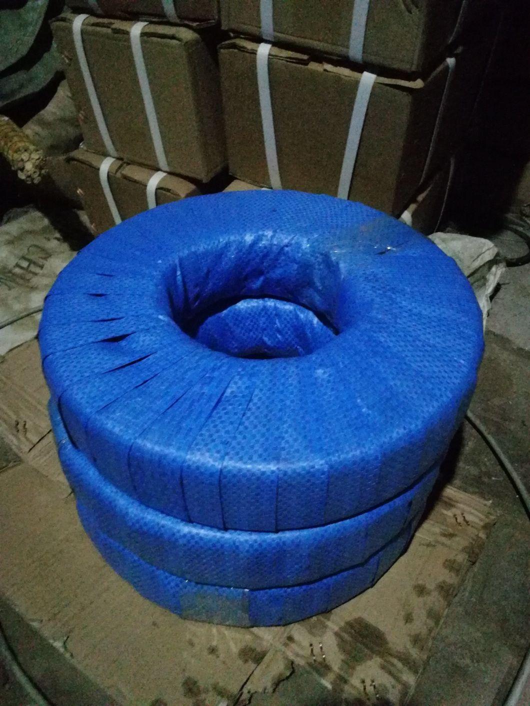 Plastic Cage Bearing /Ceramic Bearing /Cylindrical Roller Bearing 524806K