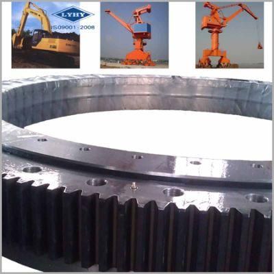 Slewing Ring Bearings Turntable Bearing Gear Bearings for Crane 191.20.1600.990.41.1502