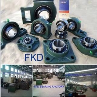 Ball Bearing Units/ Pillow Block Bearing/Ser200 Series/Insert Bearing