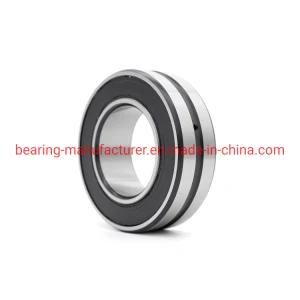 Double Row Sealed Spherical Roller Bearing Manufacturer