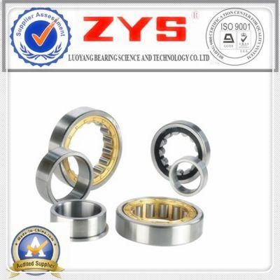 Cylindrical Roller Bearings N1064k