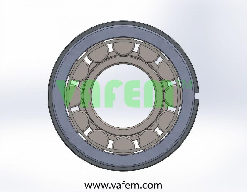 Cylindrical Roller Bearing RW111 (520228) /Roller Bearing/Full Complement Roller Bearing/China Factory