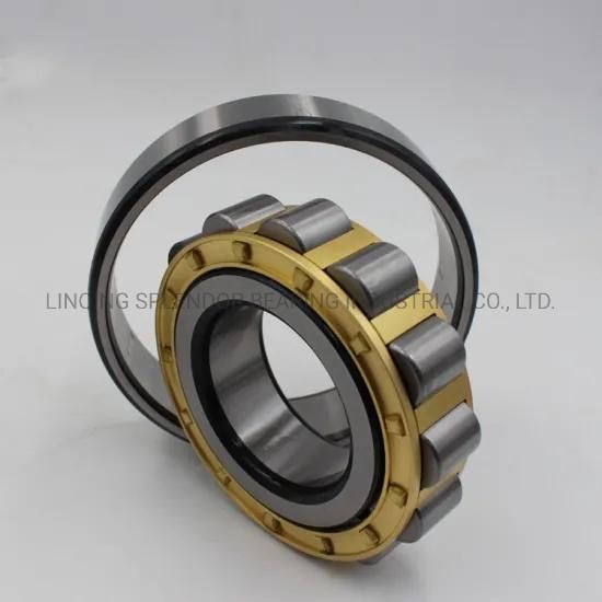 Nu/Nj/Nup/N/NF Series Single Row Cylindrical Roller Bearing