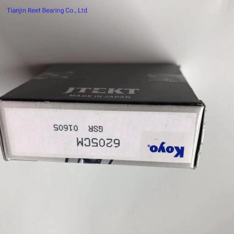 6232 Ball Bearing with Sk F NSK NTN Koyo