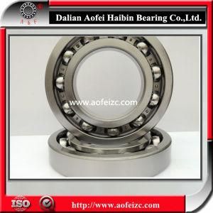 Deep Groove Ball Bearing 6248 with P5, P6, V2, V3