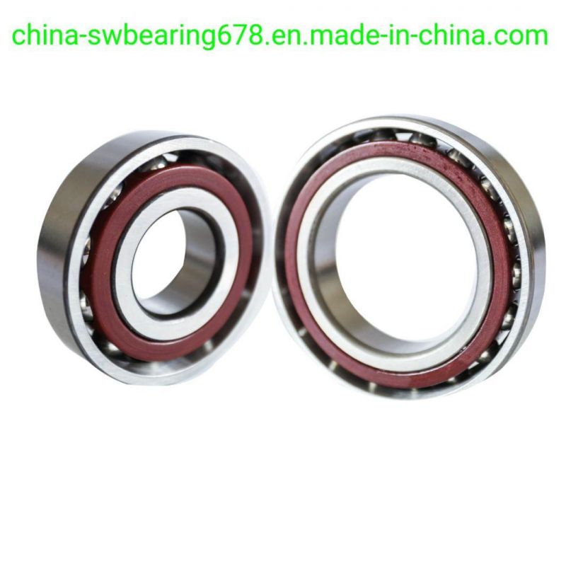 High Standard Own Factory Deep Groove Ball Bearings/Motor Bearing (6203 ZZ/6203 2RS)
