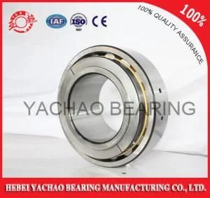 Cylindrical Roller Bearing (N223 Nj223 NF223 Nup223 Nu223)