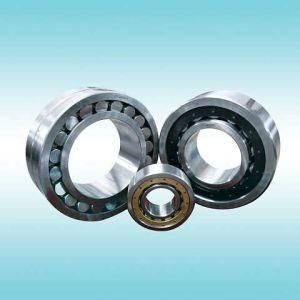 Cylindrical Roller Bearing With Different Series