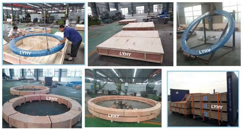 Single Row Roller Swing Bearing 161.36.1700.890.11.1503 Slewing Ring Bearing for Bucket Wheel Stacker Reclaimer