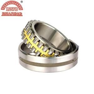 Big Size of Taper Roller Bearings (23120ca/W33)