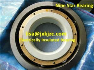 6324m/C3vl2071 Insocoat SKF Insulated Bearing