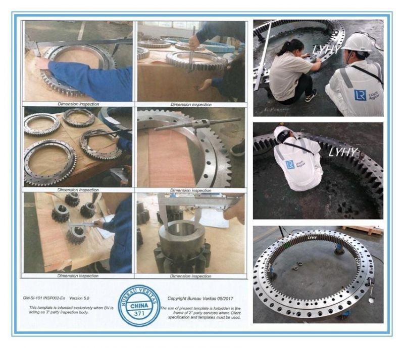 Slewing Ring Bearing with Surface Treatment by Nickel Plated (010.20.200) Turntable Bearing