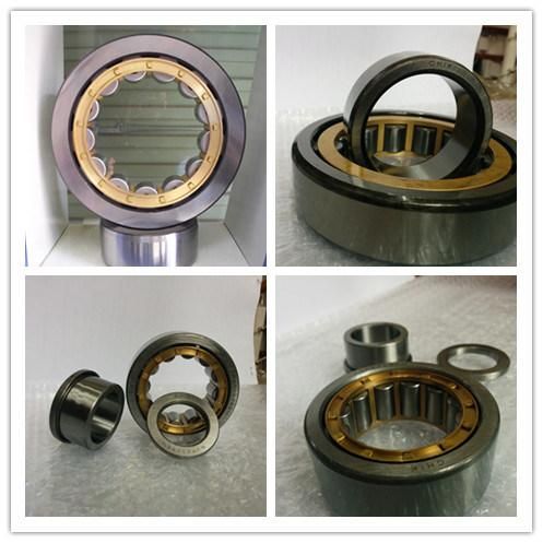 Motorcycle Auto Parts Wheel Parts Cylindrical Roller Bearing (NU240)