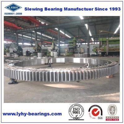 Lyhy Brand Slewing Ring Bearing 2ie. 149.00 Rolling Bearing with External Gear
