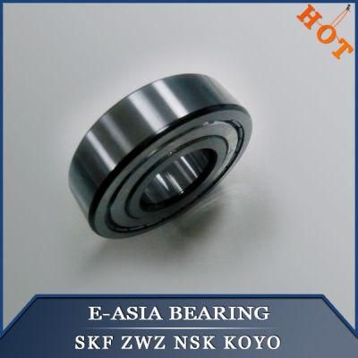 6204 Ball Bearing Waterproof OEM Brand