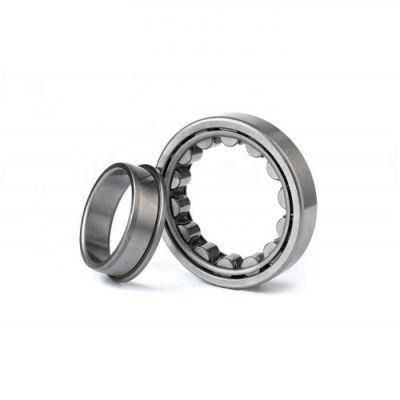 Hot Selling Factory Price 40mm Double Row Cylindrical Roller Bearings