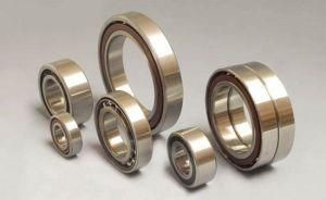 Angular Contact Ball Bearing