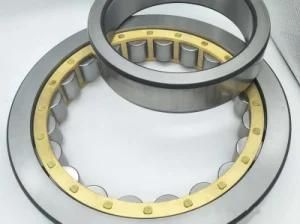 Long Service Life Nup 206 Ecp Bearing for Craning Conveyance Machine