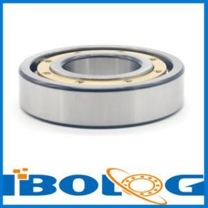 Deep Groove Ball Bearing Model No. 6221m From China Supplier