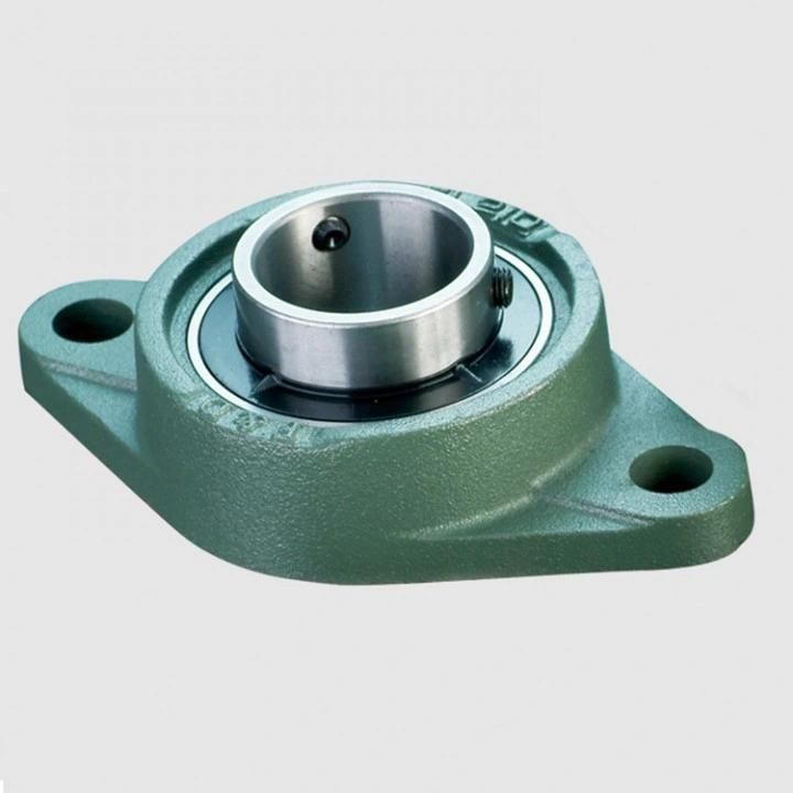 Pillow Blocks UCP205 Bearing with Housing of High Capacity Auto Bearing with Competitive Price