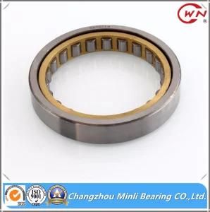 China Professional Cylindrical Roller Bearing Nu1015m Manufacturer