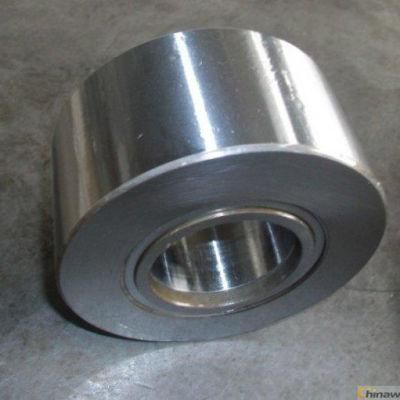 Yoke Type Track Roller Bearing Supporting Bearing Pwtr50110-2RS