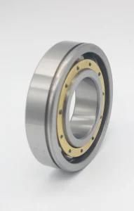 Thrust Ball Bearing Model No. 51206 with Best Quality