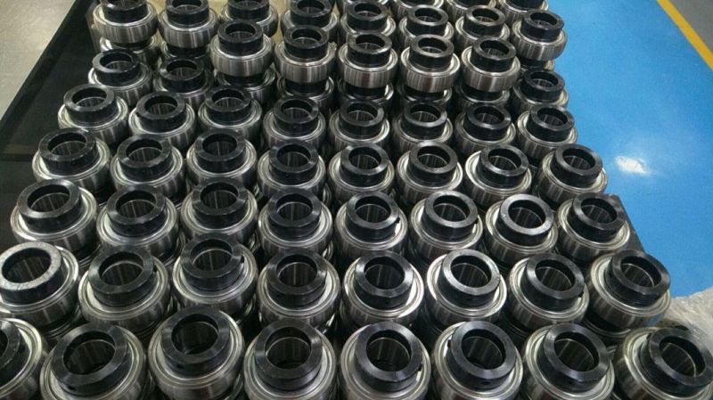 Insert Bearing, Bearing Unit, Roulements Inserts, Grae12-XL-Npp-B, G10, Zv2, Zv3, Zv4, P6, P5plus