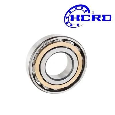 Good Price Manufacturer/Double Row Needle Roller Bearing/Cylindrical Nn3015 Nn3016 Nn3017