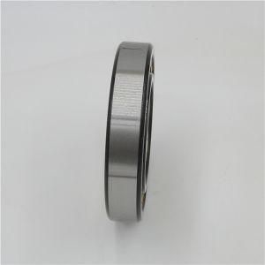 Ujk Cylindrical Roller Bearings Nj238ecm Nu238ecm Nup238ecm Nj238ecml Nu238ecml Nup238ecml Nu2238ecm Nj2238ecml Nu2238ecml Nu338ecm Nj2338ecml