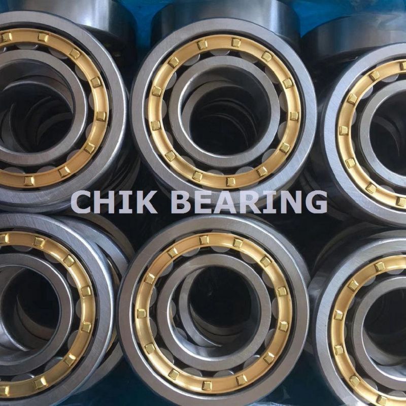 Germany Double Row Cylindrical Roller Bearings for Power Tools (NJ320)