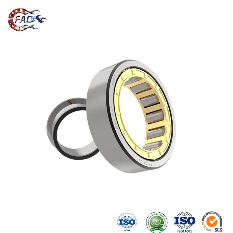 Xinhuo Bearing China Mcgill Bearings ODM 6200zz Garage Door Rollers Nj305 Sealed Cylindrical Roller Bearings