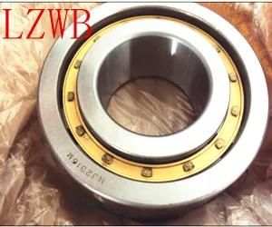 Single Row Brass Cage Cylindrical Roller Bearing (NU, NJ, NF, NUP)