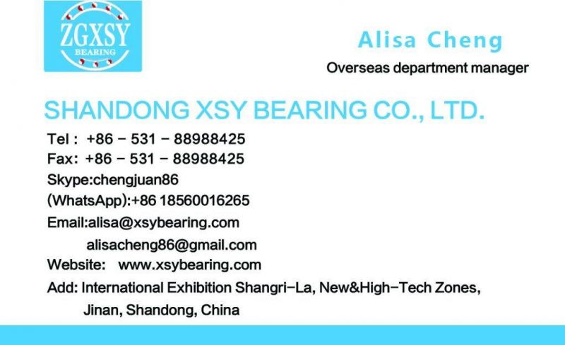 G10, G16, G20 Xsy Bearing Accessories Bearing Ball
