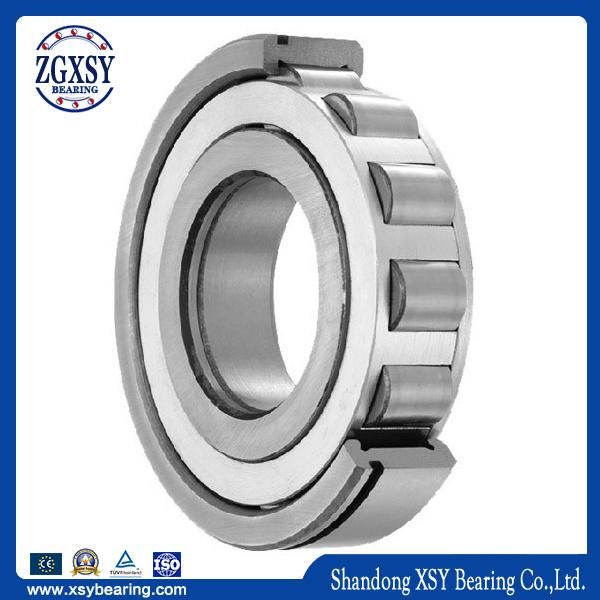 Nu 310 Ecm/C3 Cylindrical Roller Bearing