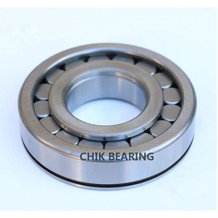 SKF Explorer Cylindrical Roller Bearings for America Euro Export Nnf5004-Zl Nnf5004-Zl