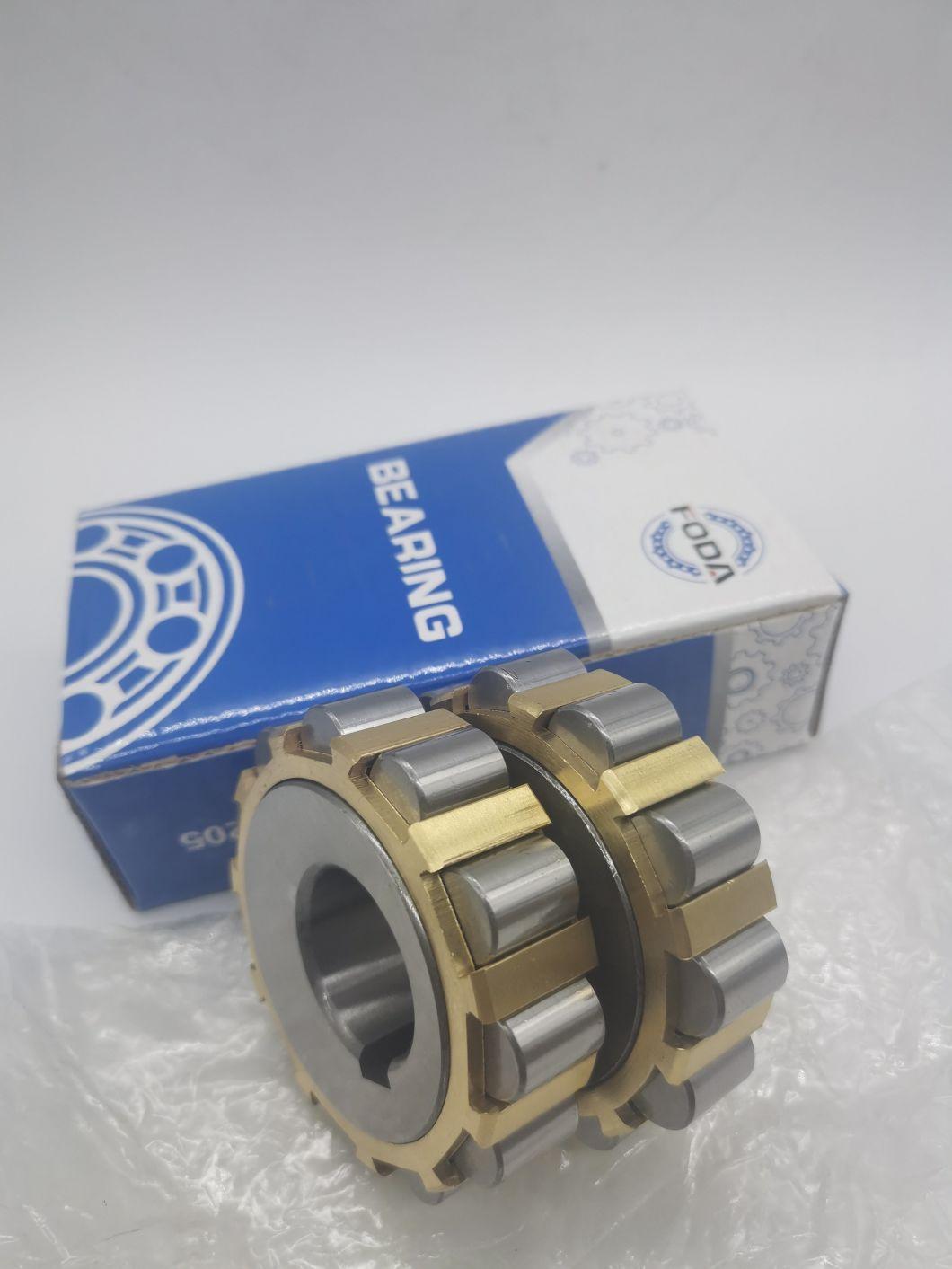Double Row Eccentric Bearing Rn208 Cylindrical Roller Bearing (22UZ8311 RN1010 RN1012 RN1014 RN1016 RV1018 RN1020 RN1024 RN202 RN203 RN204 RN205 RN206 RN208)