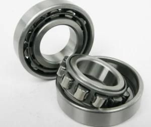 Cylindrical Roller Bearing Nu203 with High Quality