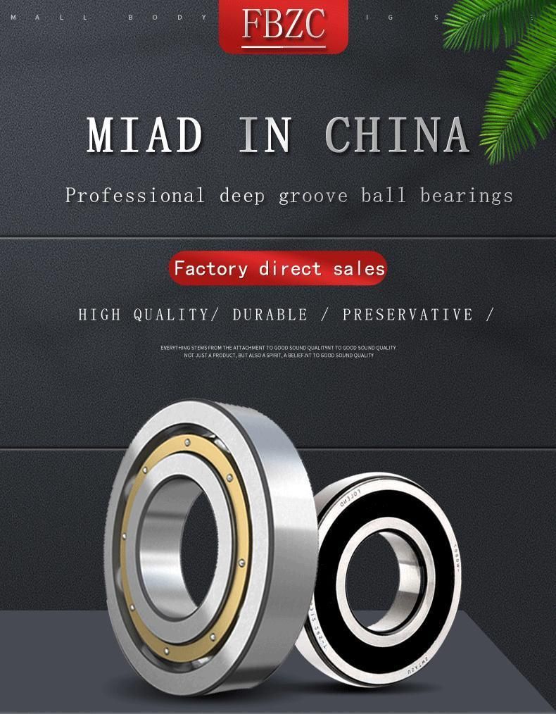 Large Stock Chrome Steel High Precision 6007 Deep Groove Ball Bearing for Auto Parts