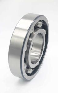 Cylindrical Roller Deep Groove Ball Bearing Open Type Model No. 6406